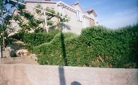 Family House Lise
